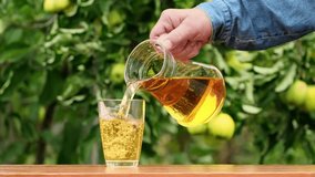 Apple juice on a wooden table in the garden, around it are apples. Farmer taking a jug and pour fresh juice into glass from the apple orchard. Pouring apple juice into a glass in a summer day outdoors - Powered by Shutterstock - Get 15% off with code: PIKWIZARD15