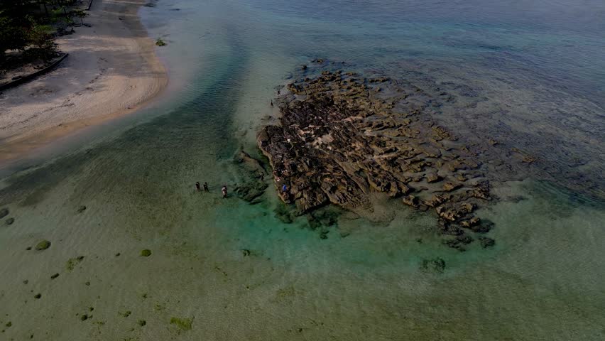 The geology of an area can have a significant impact on the formation and distribution of reefs.