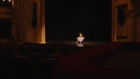 Establishing shot of ballet dancers practicing choreography on classic theater stage. Man and woman prepare theatrical performance. Shooting from spectator seat. Dramatic lighting. Full shot of stage. - Powered by Shutterstock - Get 15% off with code: PIKWIZARD15