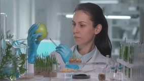 Skilled woman geneticist examining green apple and injects pesticides into it with a syringe. Biological experiment with fruits in the laboratory, educational science experiments. GMO. Close up. - Powered by Shutterstock - Get 15% off with code: PIKWIZARD15