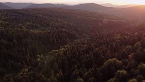 Mountain forest aerial view drone video. Beskidy in Poland landscape during sunset 