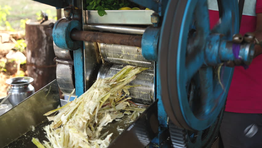 Man make eco sugarcane juice. Rural guy produce sweet rum drink. Street vendor chop up raw cane fiber. Local maker sell sugar sap. Grinder mill crush sugarcanes fibre. Farm plant production. Hand work