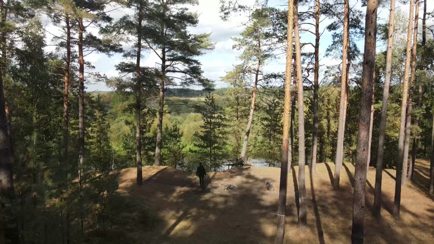 Aerial drone view of the river and forests, landscape on a summer day
