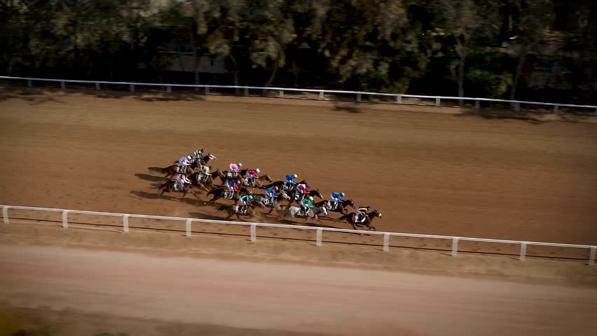 
Arabian horse race taken by drone dji inspire 2 - 50FPS Royalty-Free Stock Footage #1102517279