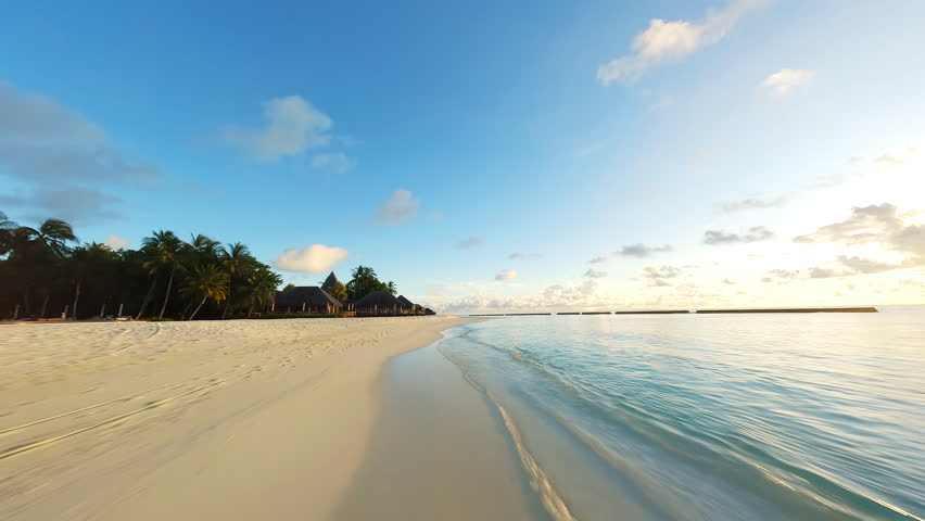 Fly a drone over a beach in the Maldives. Ocean and palm trees. | Shutterstock HD Video #1102522615