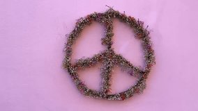 Peace symbol, sign made of Gypsophila flowers on a pink wall background. No war, World peace, hippie concept, 60s, 70s, retro. Handmade peace icon moving. Concept of peace, against crisis war. - Powered by Shutterstock - Get 15% off with code: PIKWIZARD15
