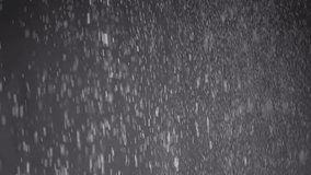 Stream of Falling Confetti, Dust Particles, and Snowfall on Black Background. Blurred abstract dynamic background of flying tinsel, snowflakes, white powder in cloudy mist smoke. Stardust, fireworks. - Powered by Shutterstock - Get 15% off with code: PIKWIZARD15