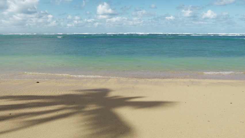 Relax on empty sea beach. Travel to paradise sea beach.Perfect Hawaiian islands beaches. Travel to Oahu Island. Idyllic tropical sea beach with scenic palm tree shadow on golden sand, copy space 4K Royalty-Free Stock Footage #1102530725