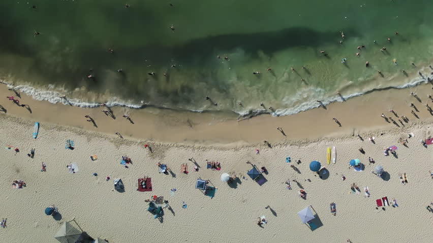 Aerial top down shot of Cottesloe Beach in Perth, Western Australia Royalty-Free Stock Footage #1102534255