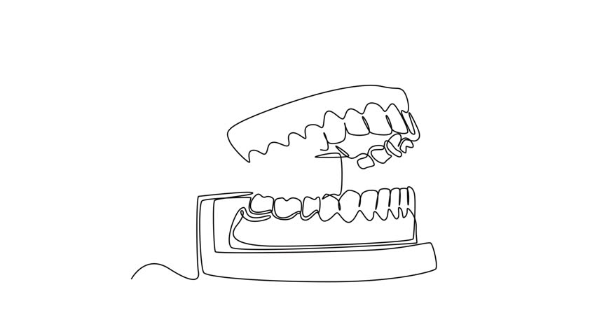 Drawing teeth set. Animation jaw drawing. Line drawing teeth animation., a Healthcare Video by Resilience