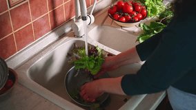 Overhead view of pregnant woman washing greens, cleaning salad leaves from dirt under running water, cooking healthy meel. Organic vegetables on kitchen countertop. Healthy nutrition during pregnancy - Powered by Shutterstock - Get 15% off with code: PIKWIZARD15