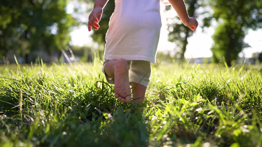 Boy kid run on grass in summer in park. Feet close up on green grass in sun. Kid dream in nature. Children play in the park on vacation. Active child jogging on a picnic in summer in a park in nature Royalty-Free Stock Footage #1102569085