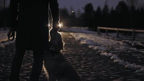 Man's best friend is a dog. The man and the dog walk away. - Powered by Shutterstock - Get 15% off with code: PIKWIZARD15