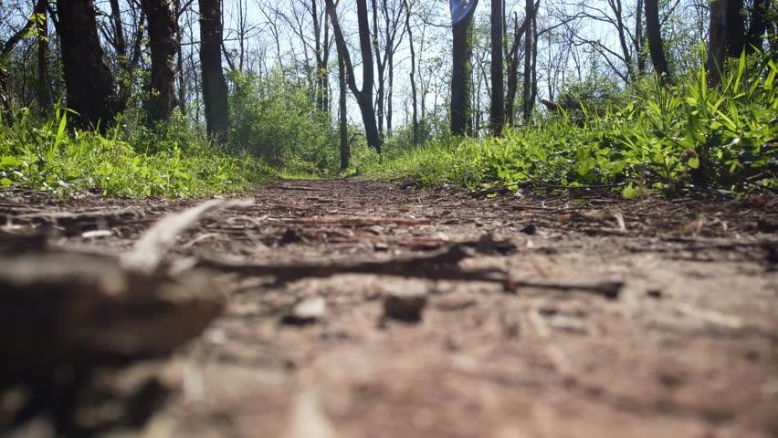 Extremely low point of view of hiking trail in Veteran