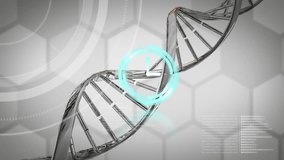 Animation of neon ticking clock and spinning dna and chemical structures against grey background. Medical research and science technology concept - Powered by Shutterstock - Get 15% off with code: PIKWIZARD15