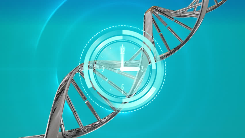 Animation of ticking clock and spinning dna structures over concentric circles on blue background. Medical research and science technology concept - Powered by Shutterstock - Get 15% off with code: PIKWIZARD15