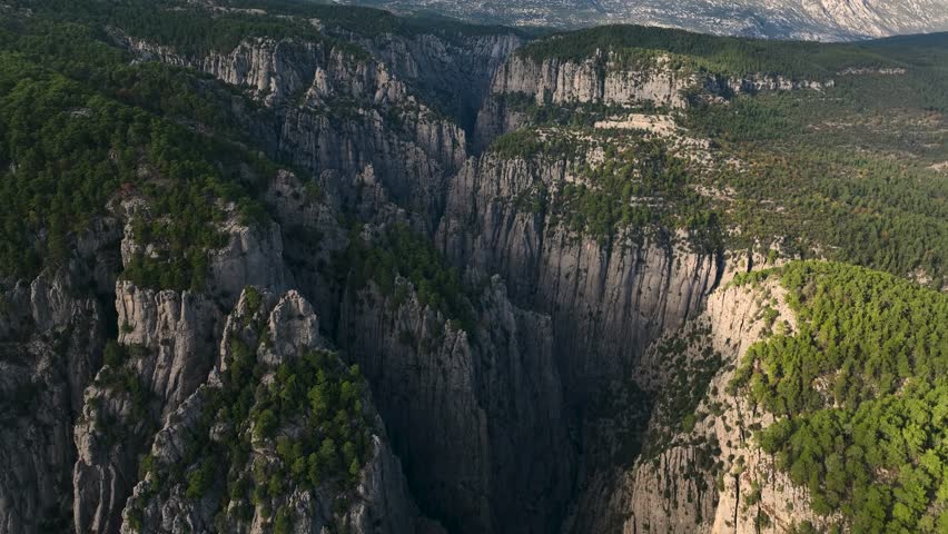 Shutterstock Video