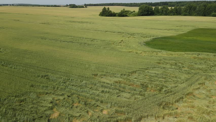 Aerial view of the green fields and landscape. Agricultural view on a summer day.