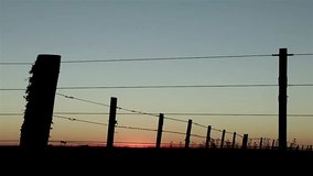 Fence Posts in Field against Sunset Sky.   - Powered by Shutterstock - Get 15% off with code: PIKWIZARD15