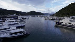 Harbour Marina in Picton port, New Zealand, South Island