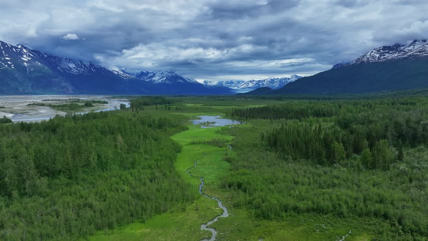 Evergreen Landscape With Wetlands in Alaska. Aerial Drone Shot Royalty-Free Stock Footage #1102619119