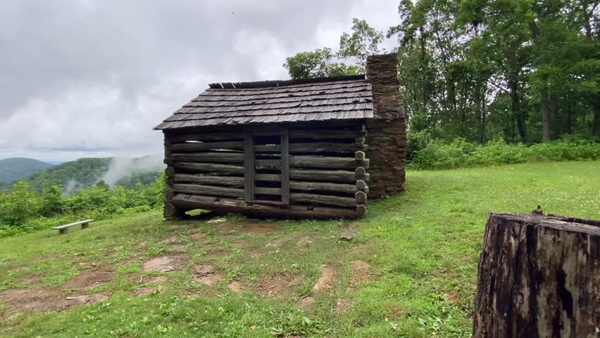 Log settler