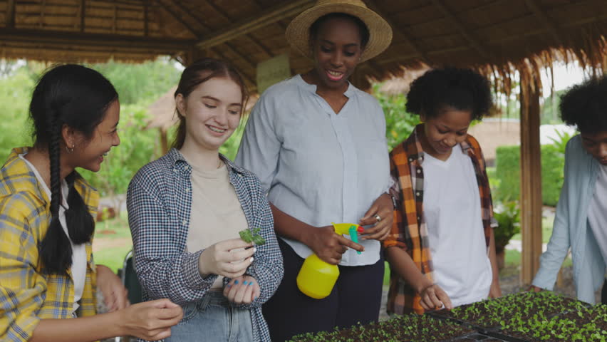 African female farmer teaches young how to grow seedlings in trays for demonstrating sustainable and efficient farming practices. The students work together in a plantation plot and greenhouse Royalty-Free Stock Footage #1102624423