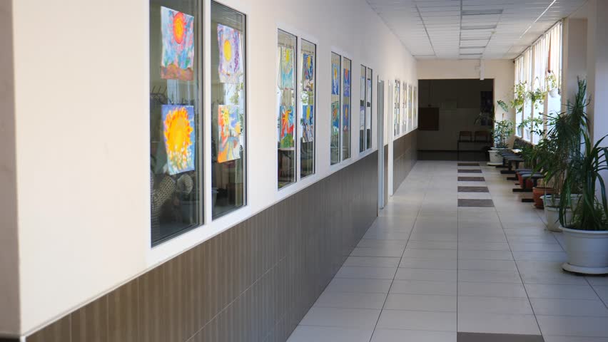 Empty School Corridor Inside with large windows and flowers. Natural light. Empty Hallway Corridor of High School or College. slide view. Light corridor with big windows in elementary school. 4 k