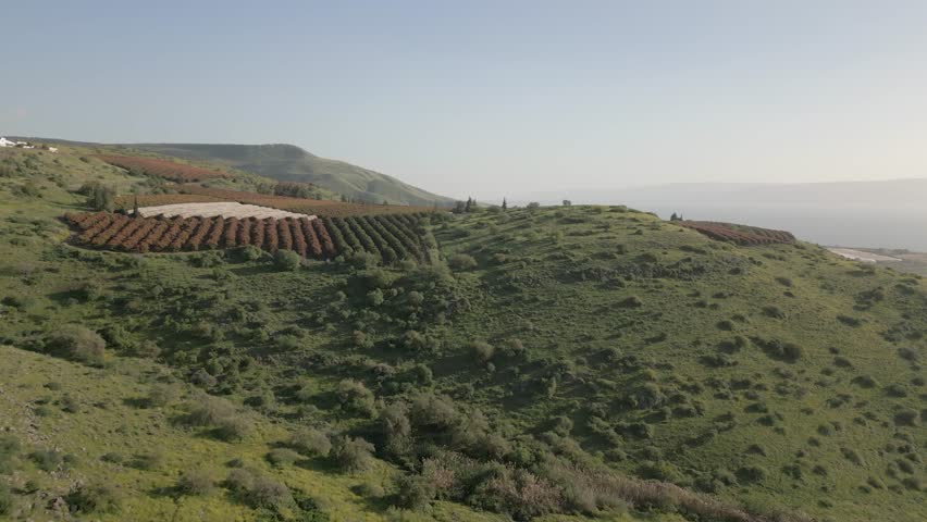 nature trees plants and agricultural fields drone shot view.  vast green landscape of Golan heights Israel. flying over bee hives and mango fields. traveling the world north. Moshav or small village Royalty-Free Stock Footage #1102631505