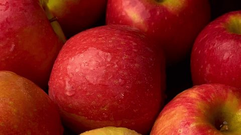 Apple fruit, red apple, closeup of ripe apple fruit  ஸ்டாக் வீடியோ