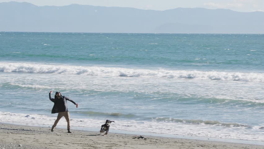 Man playing with dog on beach on sunny day, beautiful coastline, ocean, West Coast Canada, Vancouver Island. 4K 24FPS.