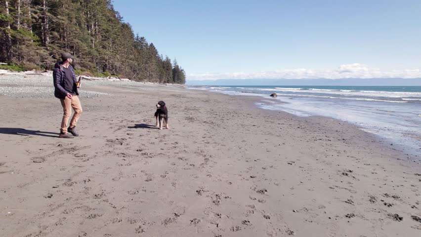 Man playing with dog on beach on sunny day, beautiful coastline, ocean, West Coast Canada, Vancouver Island. 4K 24FPS.
