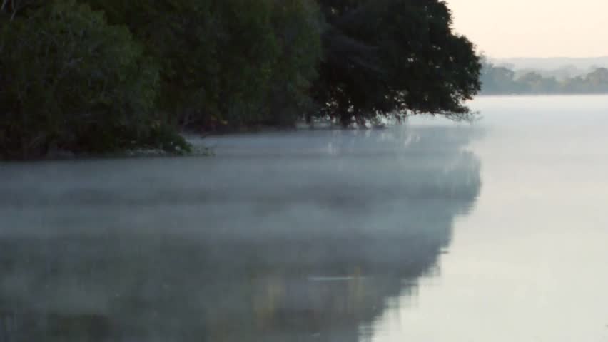 Fog rises and glides eerie over calm river by large tree at dusk