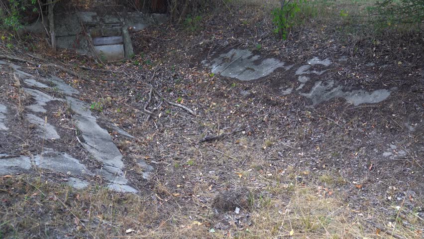 Detailed view of shade area of dry, arid field in Hungary in midst of drought.