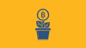 Blue Bitcoin plant in the pot icon isolated on orange background. Business investment growth. Blockchain technology, cryptocurrency mining. 4K Video motion graphic animation.