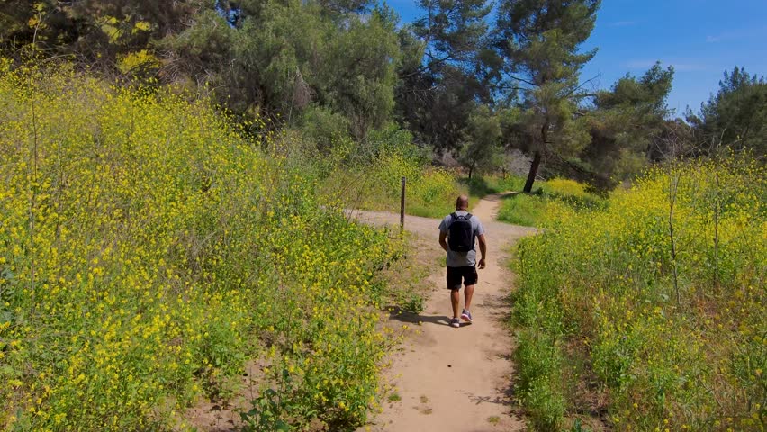 An African American man hiking wearing a backpack surrounded by lush green trees, grass and plants at Kenneth Hahn State Recreation Area in Los Angeles California USA