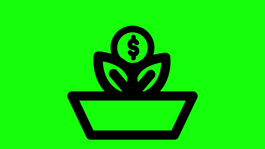 Shutterstock Video