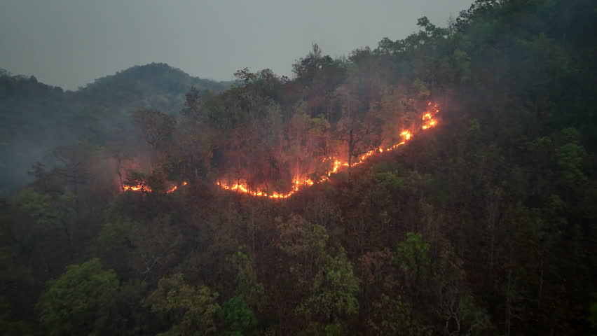 Wild fire in tropical forest.  Wildfires release carbon dioxide (CO2) emissions that contribute to climate change and global warming. Royalty-Free Stock Footage #1102650659