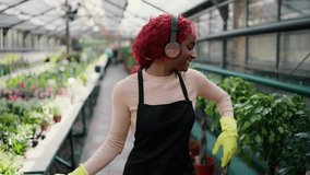 African american woman gardener florist walks through greenhouse, dancing in good mood - Powered by Shutterstock - Get 15% off with code: PIKWIZARD15