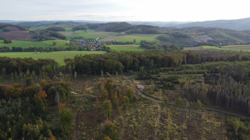 Overflight of a German forest with dead trees damaged by the bark beetle In the Sauerland region of Germany