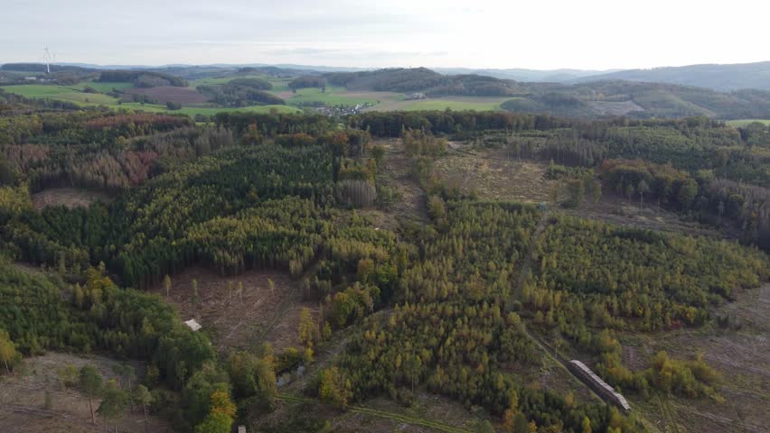Overflight of a German forest with dead trees damaged by the bark beetle In the Sauerland region of Germany