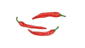 Whole raw red chilies food ingredient illustration footage video