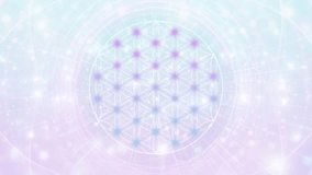 Ethereal Flower of Life Sacred Geometry Pastel Colors Meditation Visualization, Animation, Video
