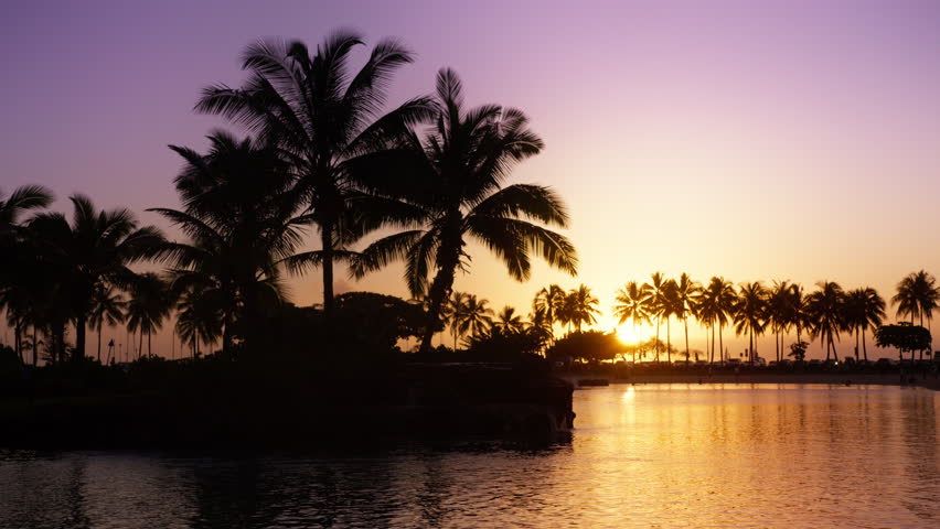 Romantic sunset on exotic tropical beach under palm trees. Silhouette of palm island on Waikiki beach, Oahu island, Hawaii USA. Silhouette of dark trees with colorful golden pink sunset sky background
