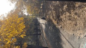 A pedestrian path with a scooter left at the edge. Panorama. Vertical video