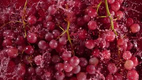 Super Slow Motion Shot of Fresh Grape Falling into Red Wine on Purple Background at 1000 fps. - Powered by Shutterstock - Get 15% off with code: PIKWIZARD15
