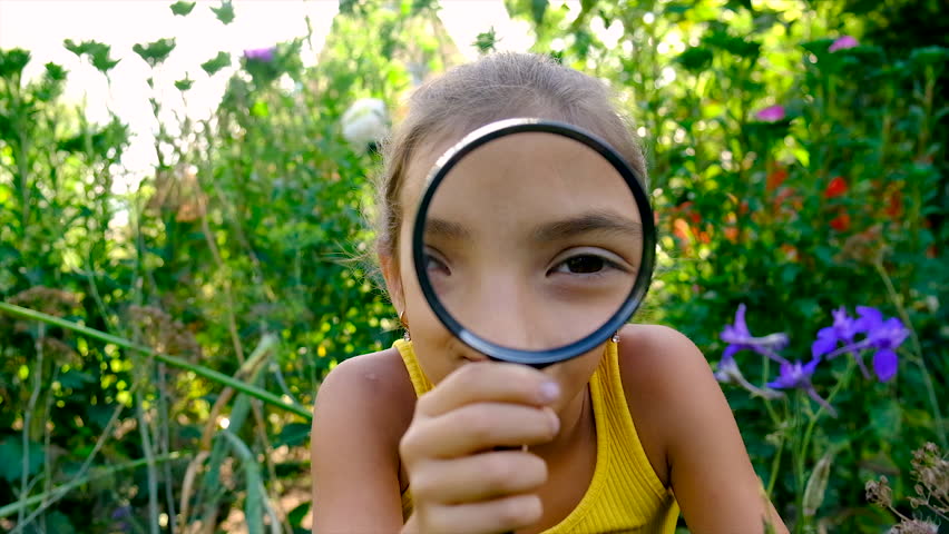 The child studies butterflies through a magnifying glass. Selective focus. Kid. Royalty-Free Stock Footage #1102691377