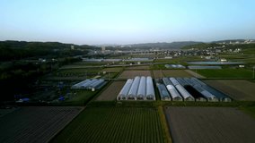Rows of greenhouses by fields on small farm lit by late afternoon sun