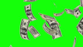 VERTICAL VIDEO: Dollars Bills Rain on a Green Screen