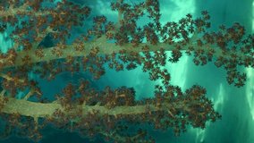 Vertical video, Bright multicolored Soft Coral Dendronephthya hang in clusters from support of pier, Slow motion
